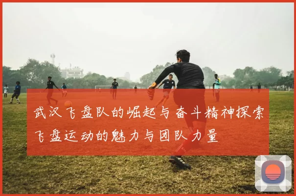 武汉飞盘队的崛起与奋斗精神探索飞盘运动的魅力与团队力量