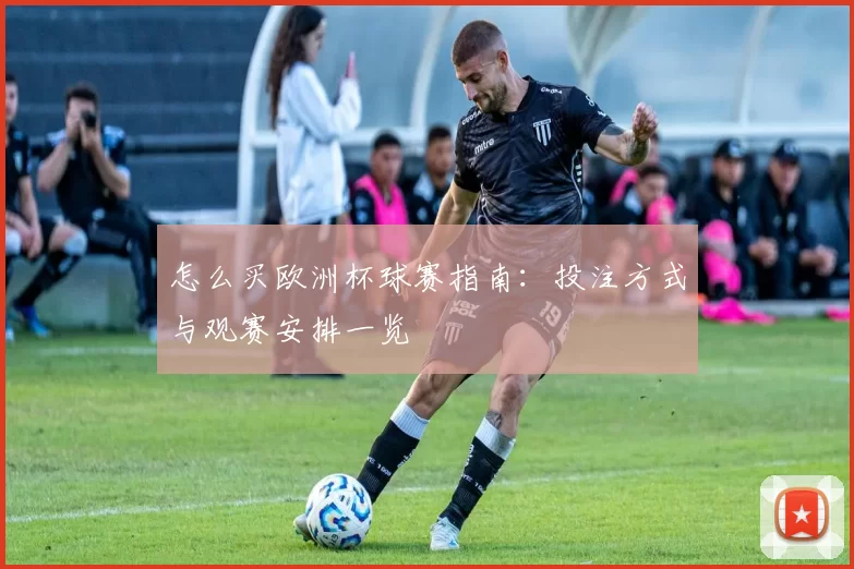 怎么买欧洲杯球赛指南：投注方式与观赛安排一览