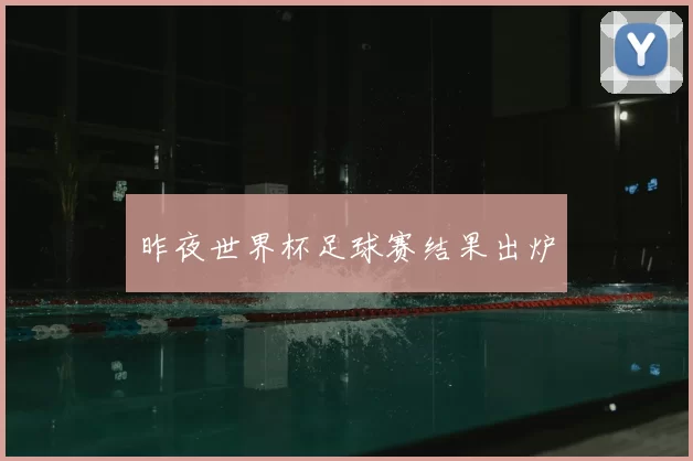 昨夜世界杯足球赛结果出炉