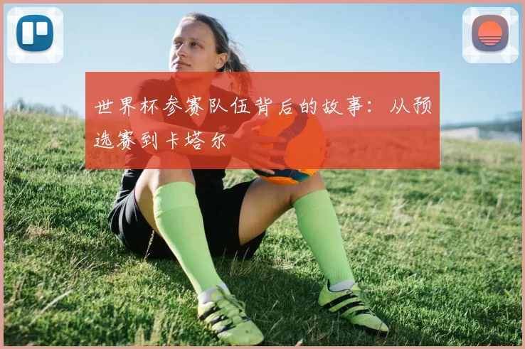 世界杯参赛队伍背后的故事:从预选赛到卡塔尔