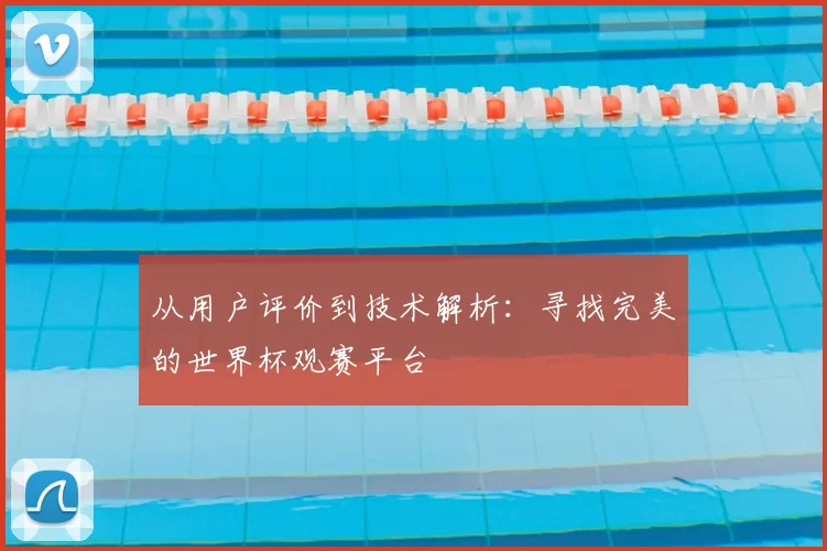 从用户评价到技术解析:寻找完美的世界杯观赛平台