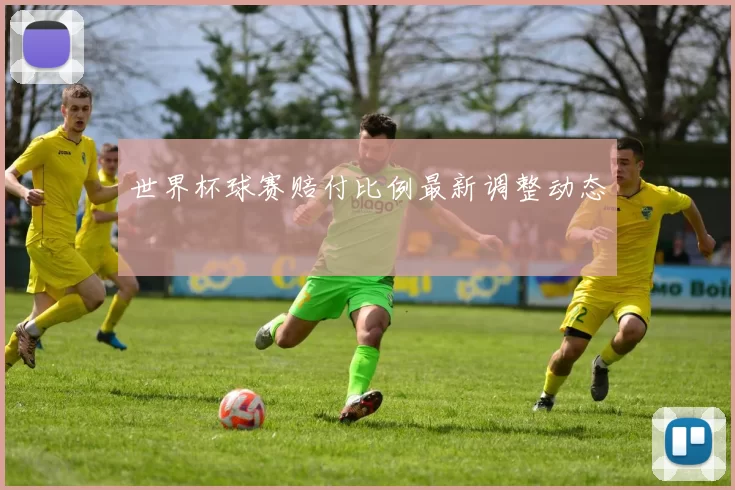 世界杯球赛赔付比例最新调整动态