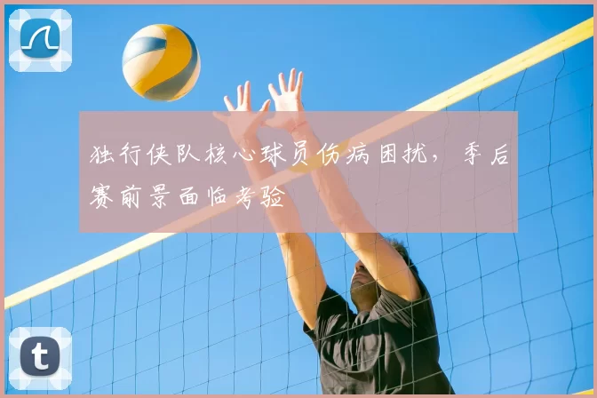 独行侠队核心球员伤病困扰,季后赛前景面临考验