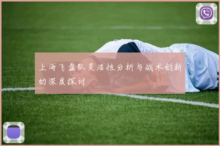 上海飞盘队灵活性分析与战术创新的深度探讨