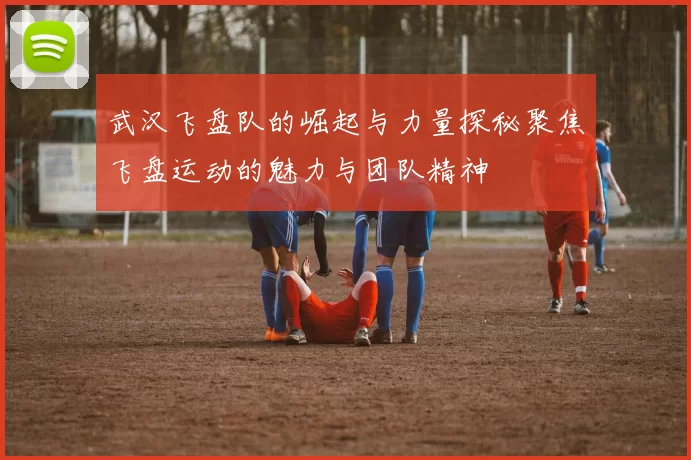 武汉飞盘队的崛起与力量探秘聚焦飞盘运动的魅力与团队精神