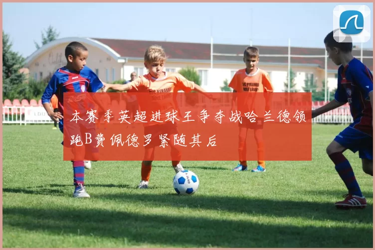 本赛季英超进球王争夺战哈兰德领跑B费佩德罗紧随其后