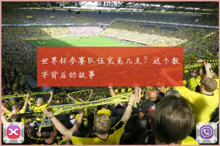 世界杯参赛队伍究竟几支？这个数字背后的故事