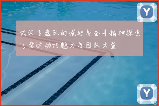 武汉飞盘队的崛起与奋斗精神探索飞盘运动的魅力与团队力量