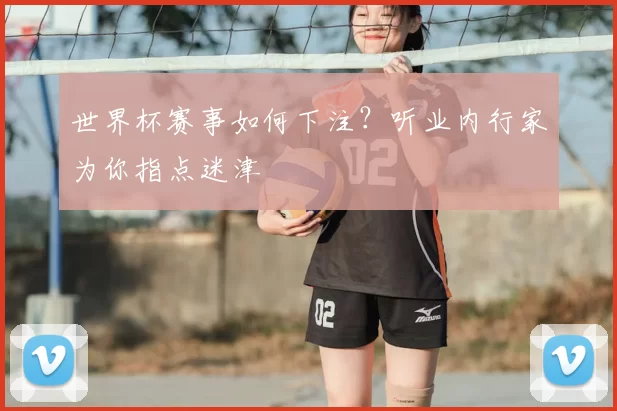 世界杯赛事如何下注?听业内行家为你指点迷津