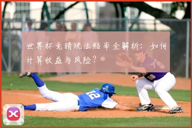 世界杯竞猜玩法赔率全解析：如何计算收益与风险？