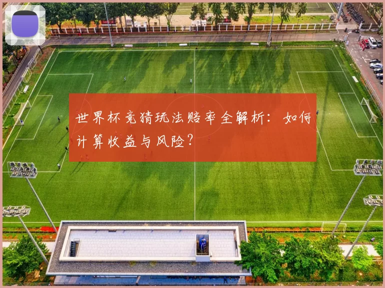 世界杯竞猜玩法赔率全解析:如何计算收益与风险?