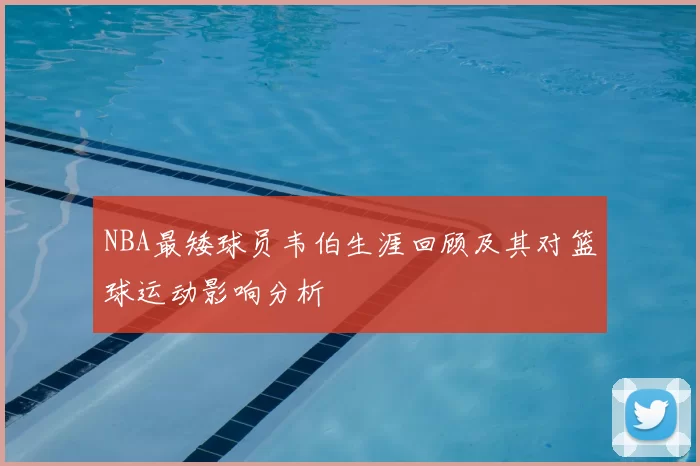 NBA最矮球员韦伯生涯回顾及其对篮球运动影响分析