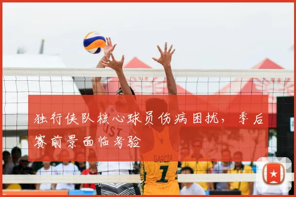 独行侠队核心球员伤病困扰,季后赛前景面临考验