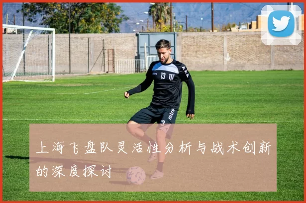 上海飞盘队灵活性分析与战术创新的深度探讨