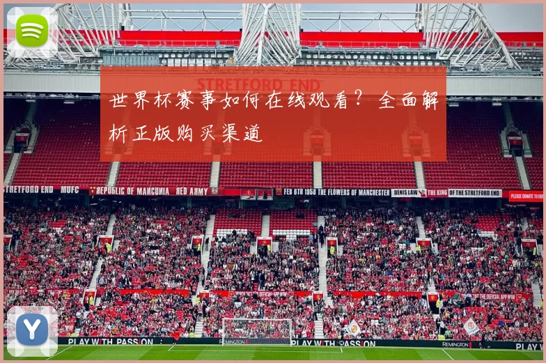 世界杯赛事如何在线观看?全面解析正版购买渠道